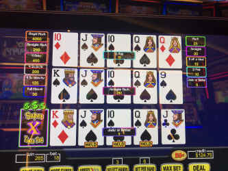 77396942000__B4F96066-5452-4A8B-BA41-677BA274212E.JPEG (814613 bytes)