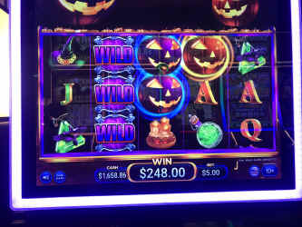 77398082741__039E6070-5F22-42C5-B36C-0A023DCBF300.JPEG (821397 bytes)