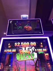 77398120142__033C59E5-17D4-4982-97A9-61D78DD0DE24.JPEG (195910 bytes)