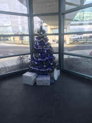 78715115623__C11961E7-64C7-48D5-82F1-B27EB069AA61.JPEG (662336 bytes)