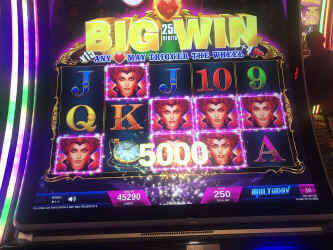 78734761684__4D0013CF-8FF2-473B-A8F7-56E161B46146.JPEG (982677 bytes)