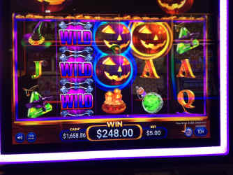 IMG_4250.JPG (1448783 bytes)