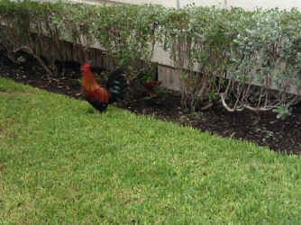 IMG_4280.JPG (1605385 bytes)