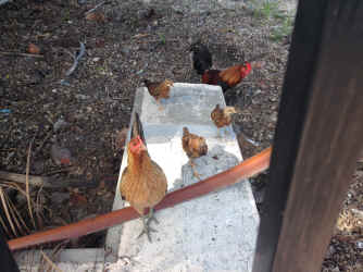 IMG_4313.JPG (2005616 bytes)