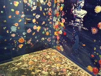 IMG_4369.JPG (1672269 bytes)