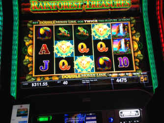 IMG_4380.JPG (1355473 bytes)