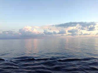 IMG_4740.JPG (1439425 bytes)