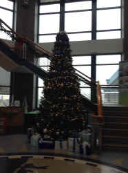 IMG_5255.JPG (1068200 bytes)