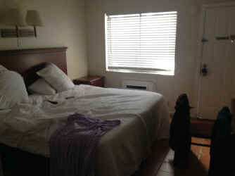 IMG_5267.JPG (1058712 bytes)