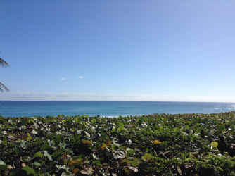 IMG_5287.JPG (1479868 bytes)