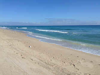 IMG_5295.JPG (1549261 bytes)