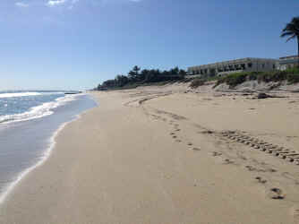 IMG_5296.JPG (1747732 bytes)