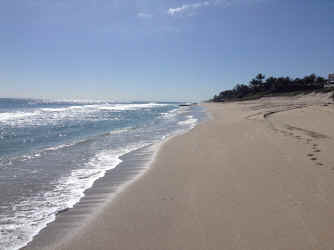 IMG_5297.JPG (1714375 bytes)