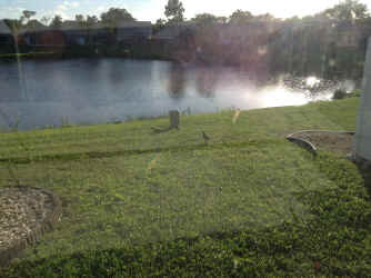 IMG_5314.JPG (2117360 bytes)