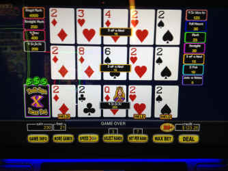 IMG_5382.JPG (1275102 bytes)