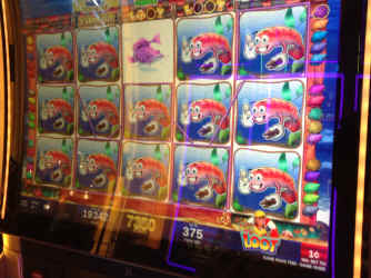 IMG_5395.JPG (1644597 bytes)