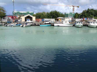 IMG_5480.JPG (1518982 bytes)