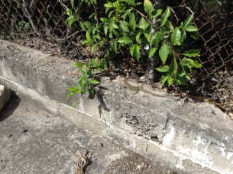 IMG_5502.JPG (2054951 bytes)