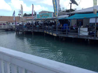 IMG_5510.JPG (1297825 bytes)