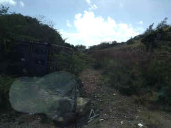 IMG_5554.JPG (1295460 bytes)