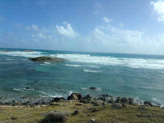 IMG_5582.JPG (1513746 bytes)