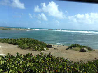 IMG_5587.JPG (1703494 bytes)