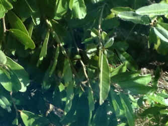 IMG_5612.JPG (748471 bytes)