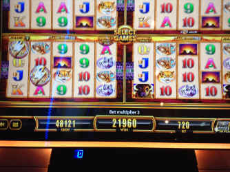 IMG_5780.JPG (1758890 bytes)