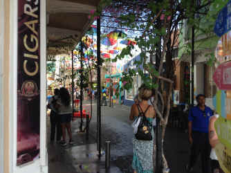 IMG_5835.JPG (1618944 bytes)