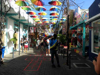 IMG_5838.JPG (1835361 bytes)