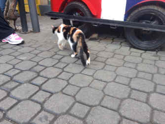 IMG_5856.JPG (1349953 bytes)