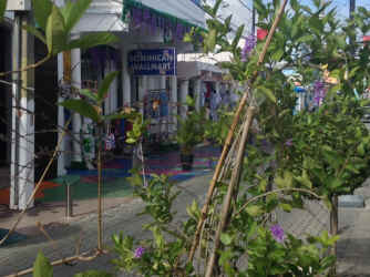 IMG_5867.JPG (1242712 bytes)