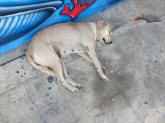 IMG_5887.JPG (1640099 bytes)