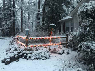 IMG_6963.JPEG (1243916 bytes)