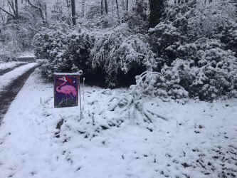 IMG_6970.JPEG (891776 bytes)