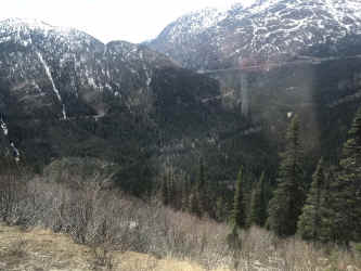 IMG_7664.JPEG (1264986 bytes)