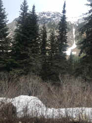 IMG_7680.JPEG (1480896 bytes)