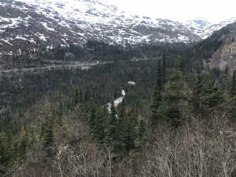 IMG_7681.JPEG (1437131 bytes)