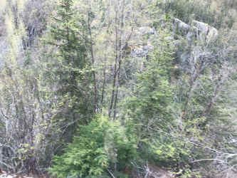 IMG_7688.JPEG (1375537 bytes)