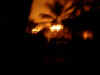 FIRE!.jpg (14668 bytes)